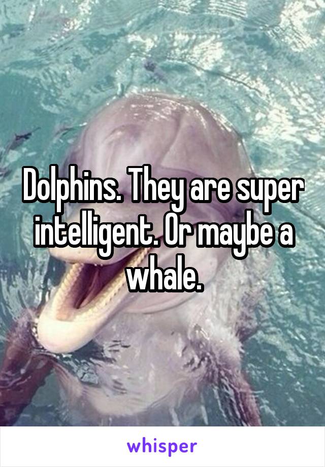 Dolphins. They are super intelligent. Or maybe a whale.