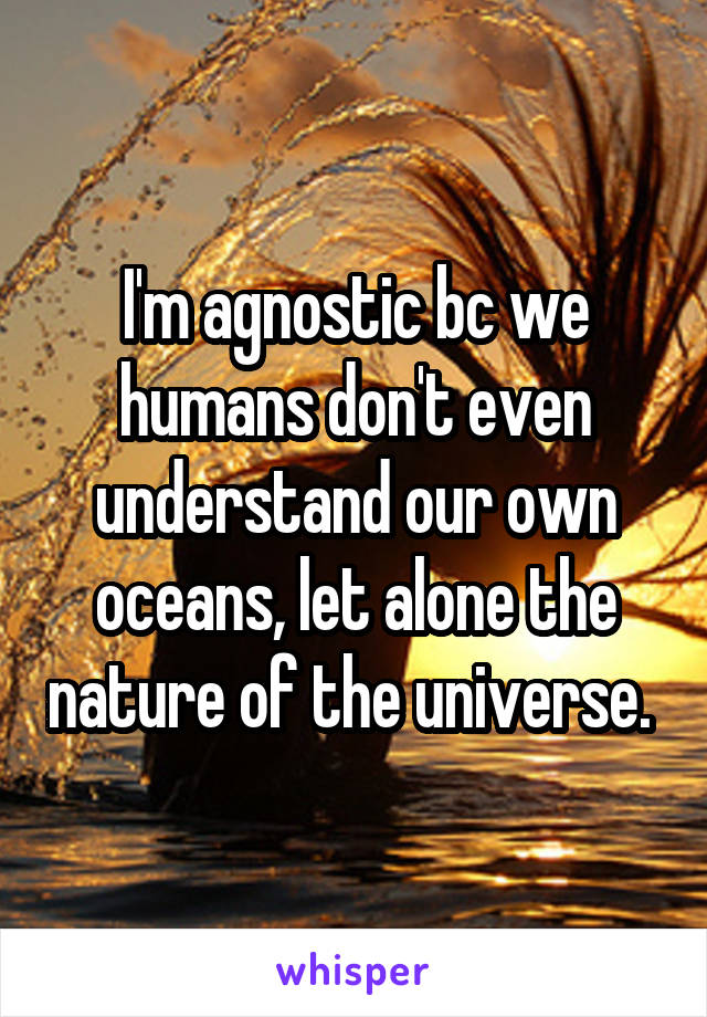 I'm agnostic bc we humans don't even understand our own oceans, let alone the nature of the universe. 