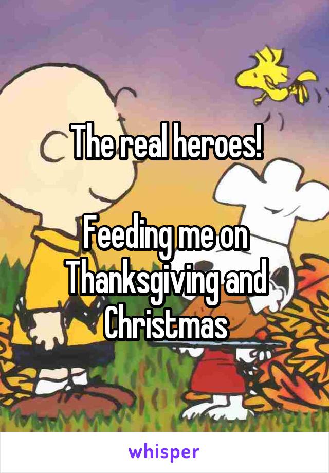 The real heroes!

Feeding me on Thanksgiving and Christmas