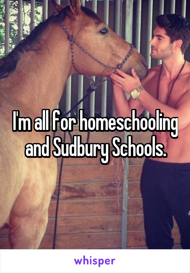 I'm all for homeschooling and Sudbury Schools.