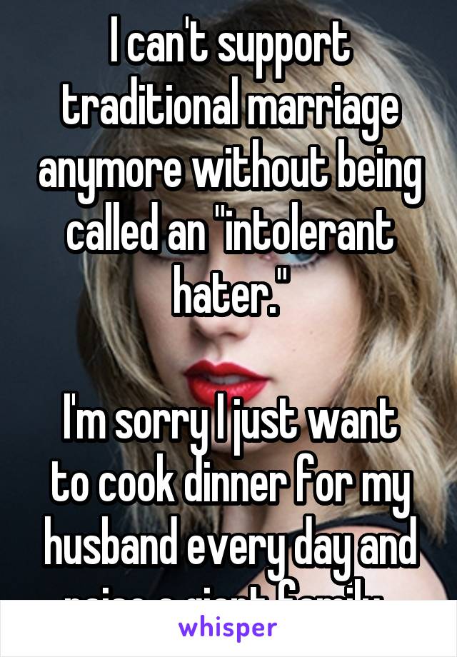 I can't support traditional marriage anymore without being called an "intolerant hater."

I'm sorry I just want to cook dinner for my husband every day and raise a giant family. 