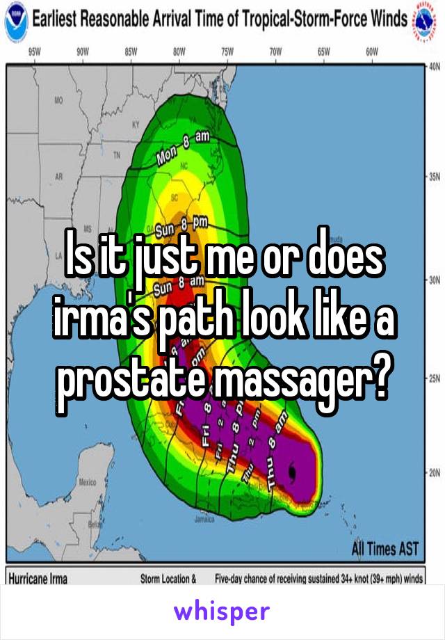 Is it just me or does irma's path look like a prostate massager?