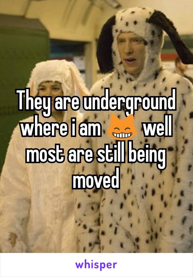They are underground where i am 😸 well most are still being moved