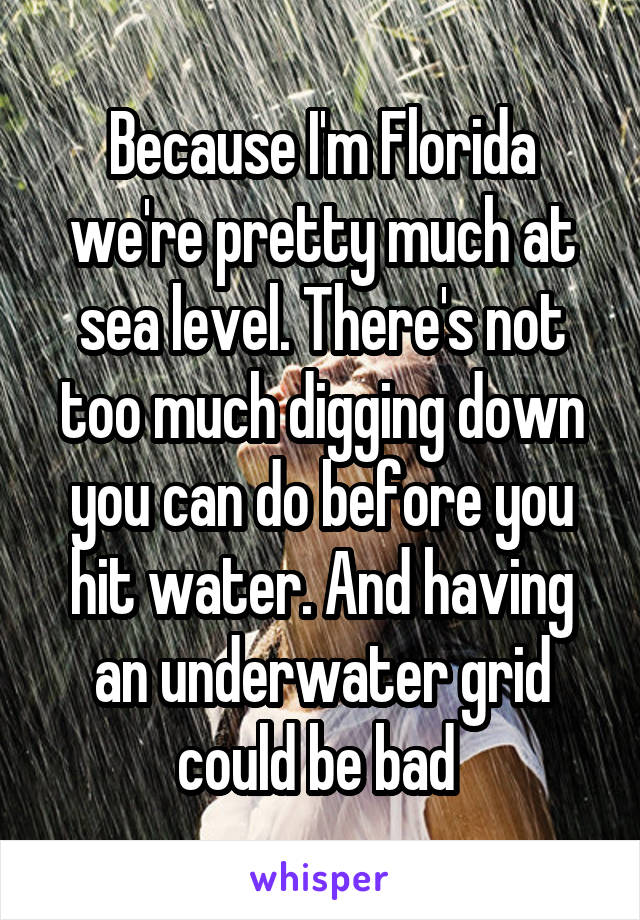 Because I'm Florida we're pretty much at sea level. There's not too much digging down you can do before you hit water. And having an underwater grid could be bad 