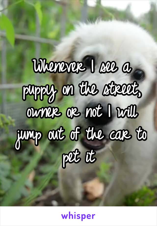 Whenever I see a puppy on the street, owner or not I will jump out of the car to pet it 