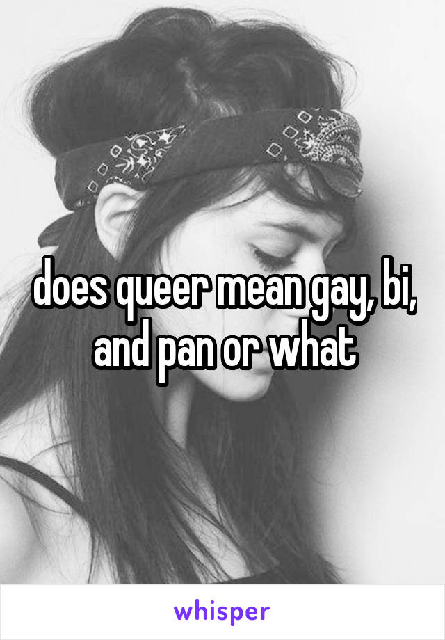does queer mean gay, bi, and pan or what