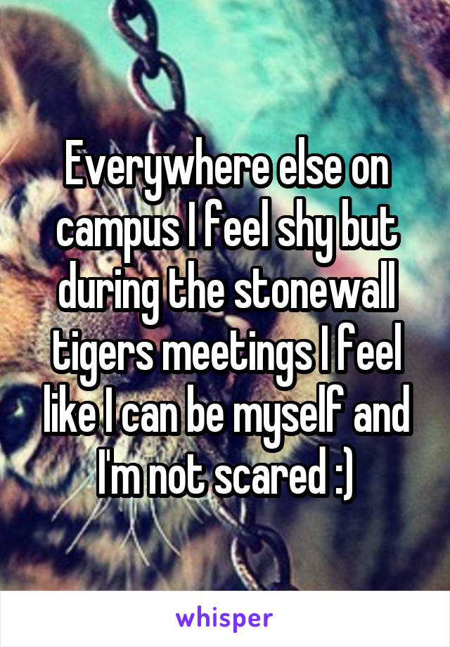 Everywhere else on campus I feel shy but during the stonewall tigers meetings I feel like I can be myself and I'm not scared :)