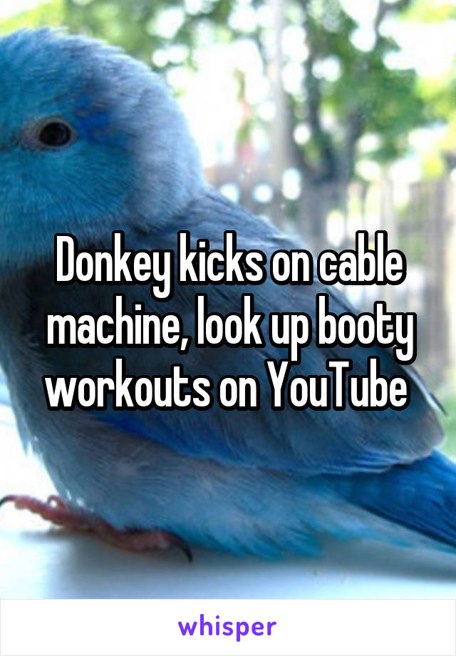 Donkey kicks on cable machine, look up booty workouts on YouTube 