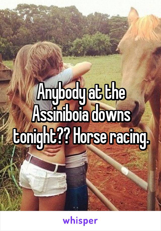 Anybody at the Assiniboia downs tonight?? Horse racing.