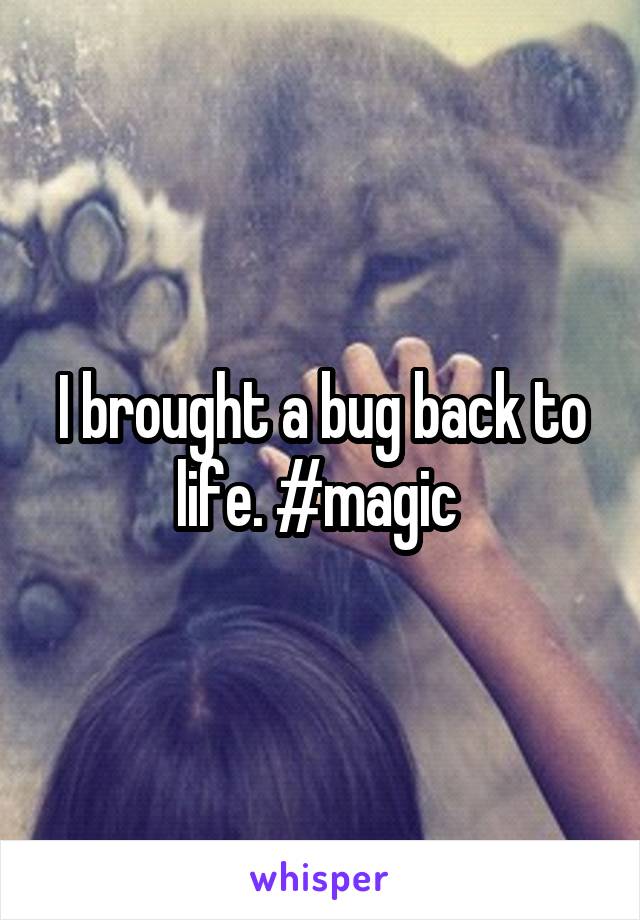 I brought a bug back to life. #magic 