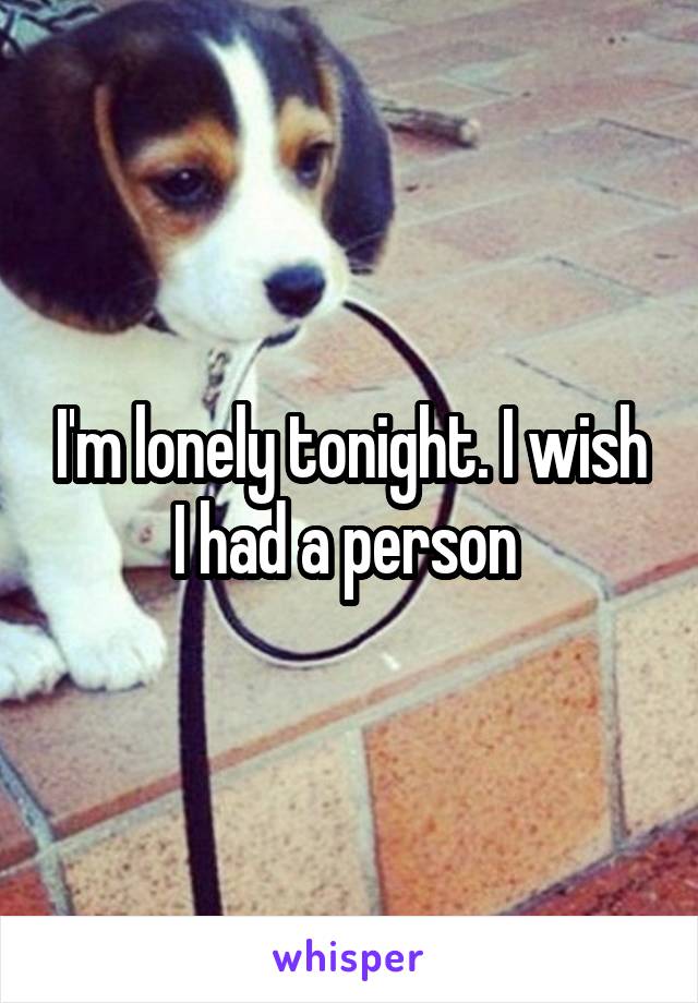I'm lonely tonight. I wish I had a person 