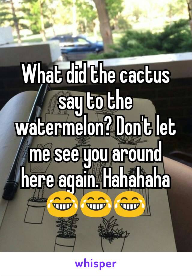 What did the cactus say to the watermelon? Don't let me see you around here again. Hahahaha 😂😂😂
