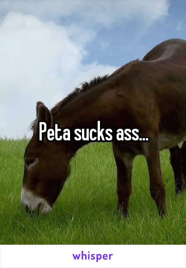 Peta sucks ass...
