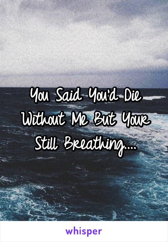 You Said You'd Die Without Me But Your Still Breathing....
