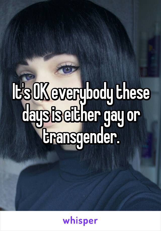 It's OK everybody these days is either gay or transgender.