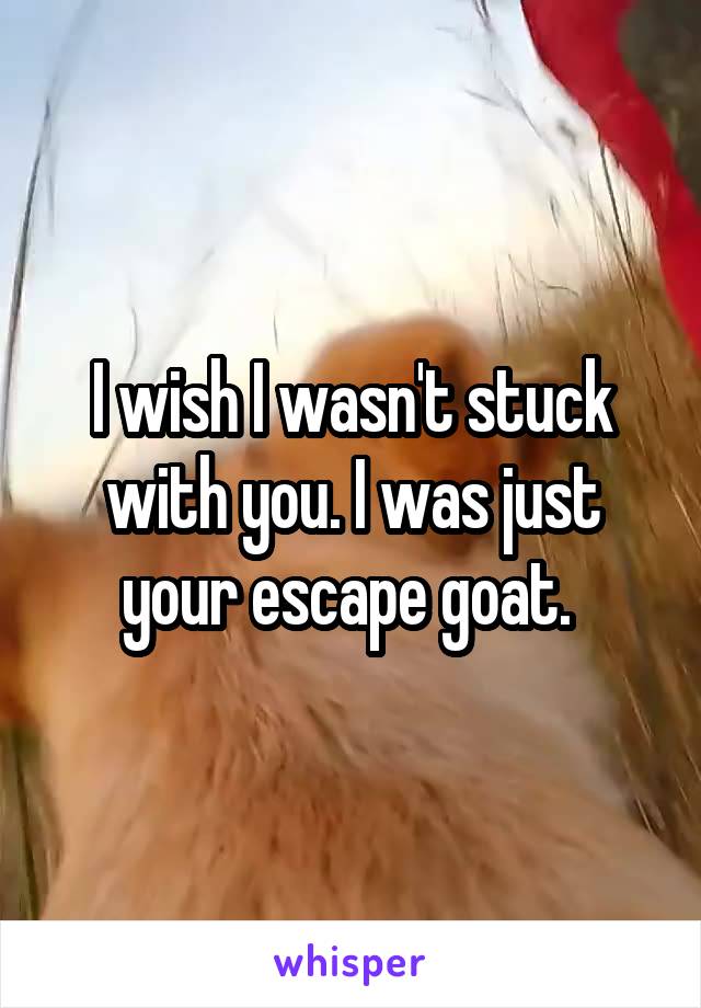 I wish I wasn't stuck with you. I was just your escape goat. 