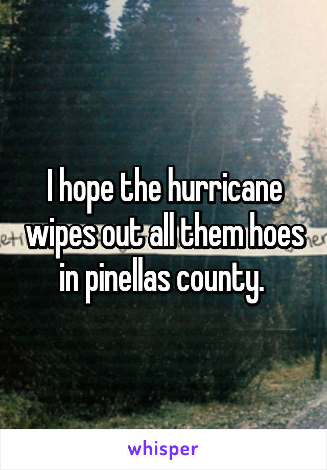 I hope the hurricane wipes out all them hoes in pinellas county. 