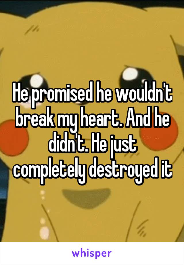 He promised he wouldn't break my heart. And he didn't. He just completely destroyed it
