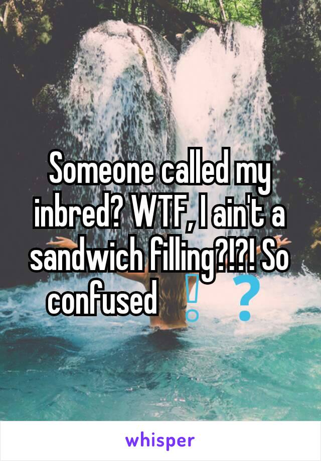Someone called my inbred? WTF, I ain't a sandwich filling?!?! So confused ❕❓