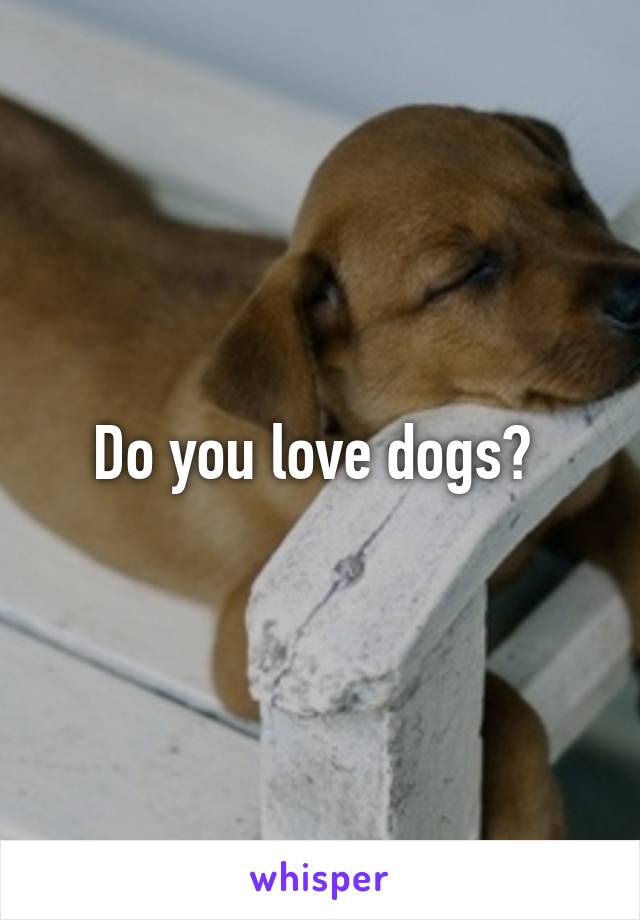 Do you love dogs? 