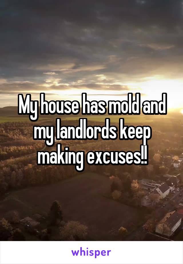 My house has mold and my landlords keep making excuses!!