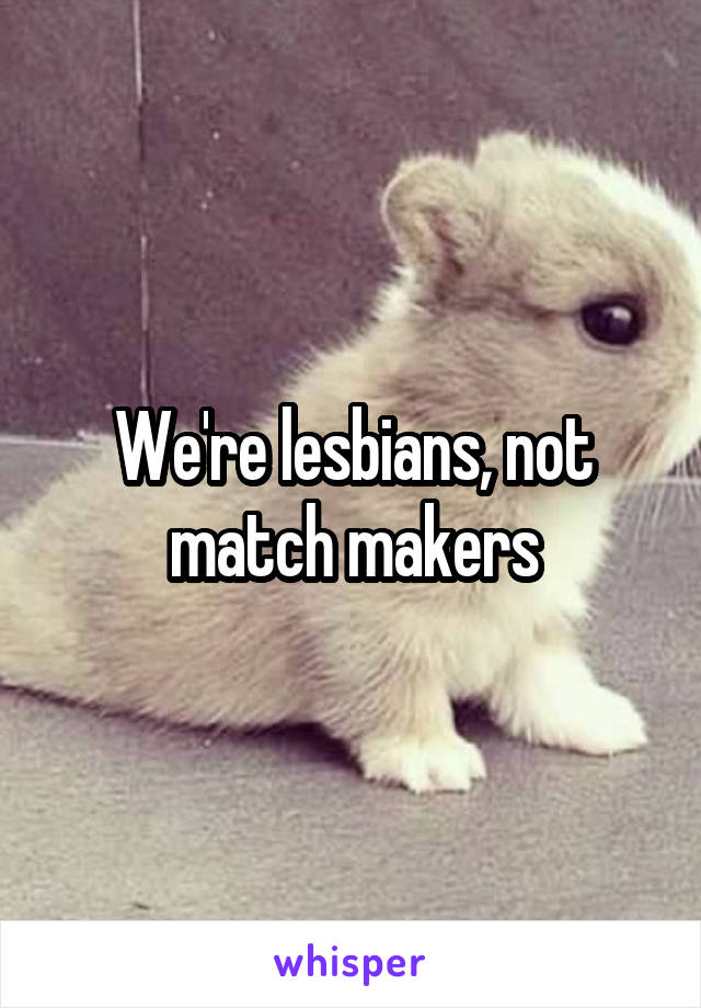 We're lesbians, not match makers