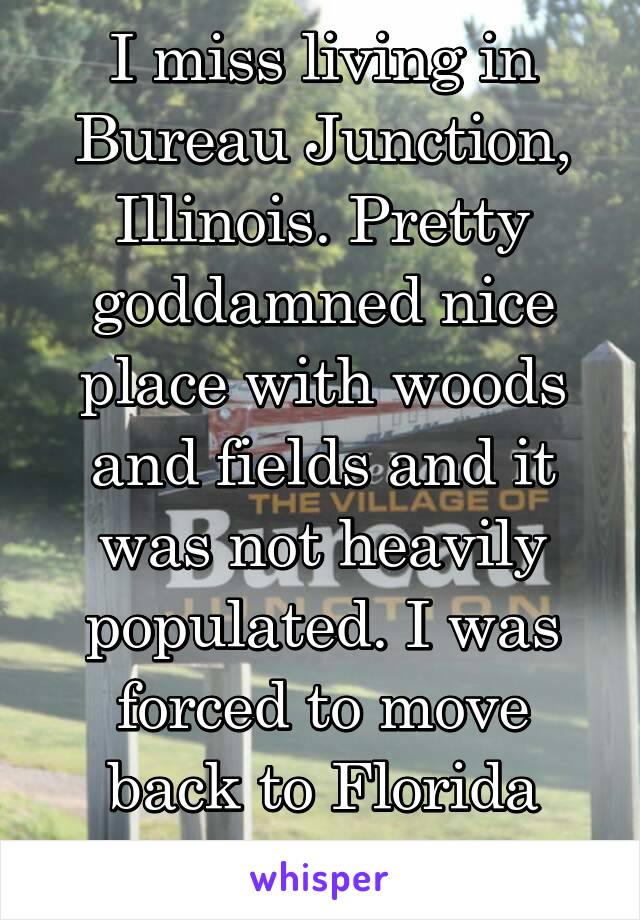 I miss living in Bureau Junction, Illinois. Pretty goddamned nice place with woods and fields and it was not heavily populated. I was forced to move back to Florida after only 2 years.