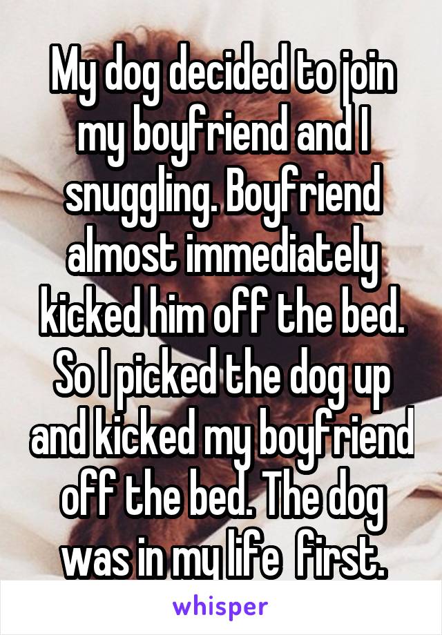 My dog decided to join my boyfriend and I snuggling. Boyfriend almost immediately kicked him off the bed. So I picked the dog up and kicked my boyfriend off the bed. The dog was in my life  first.