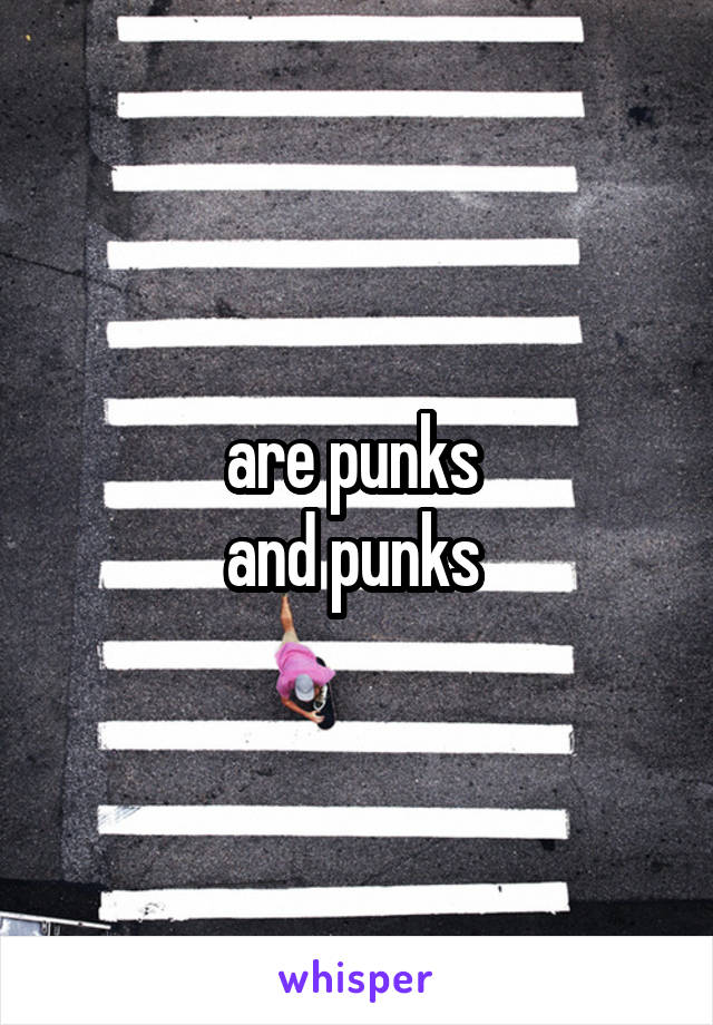 are punks 
and punks 