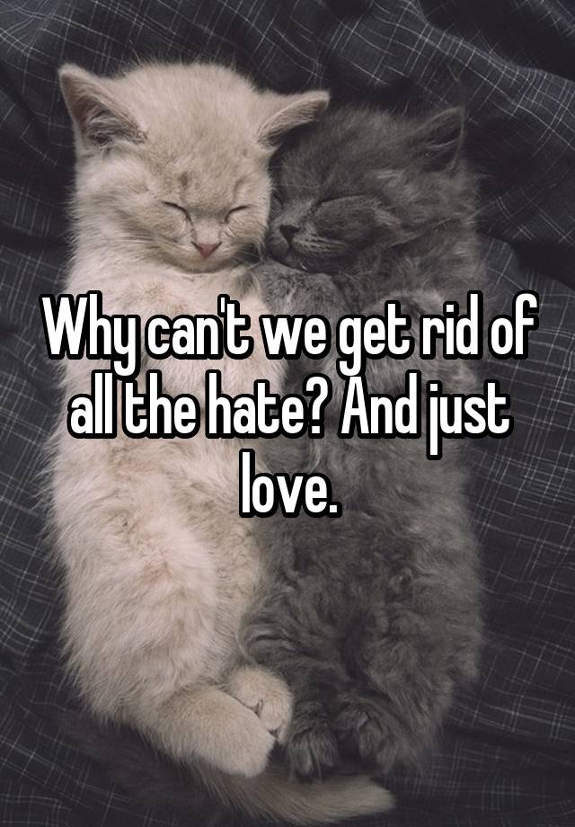 why-can-t-we-get-rid-of-all-the-hate-and-just-love