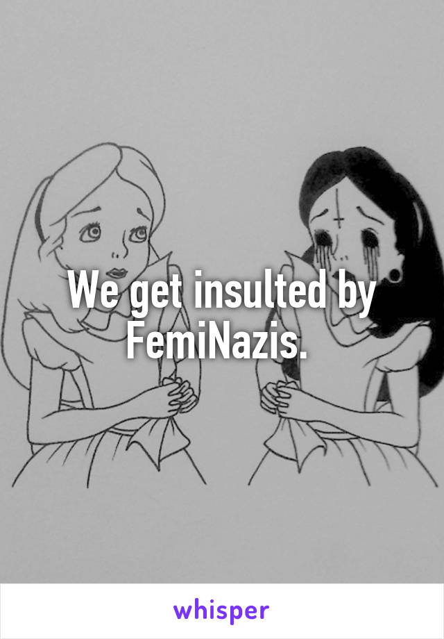 We get insulted by FemiNazis. 