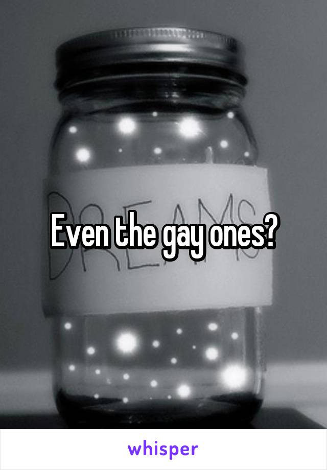 Even the gay ones?