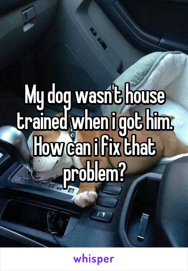 My dog wasn't house trained when i got him. How can i fix that problem?