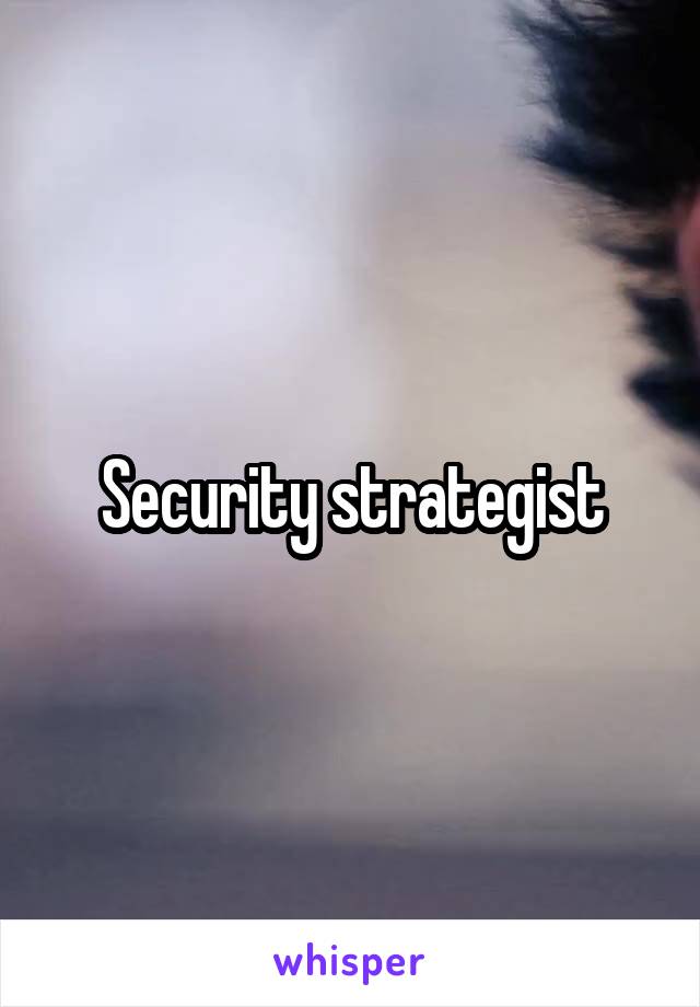 Security strategist