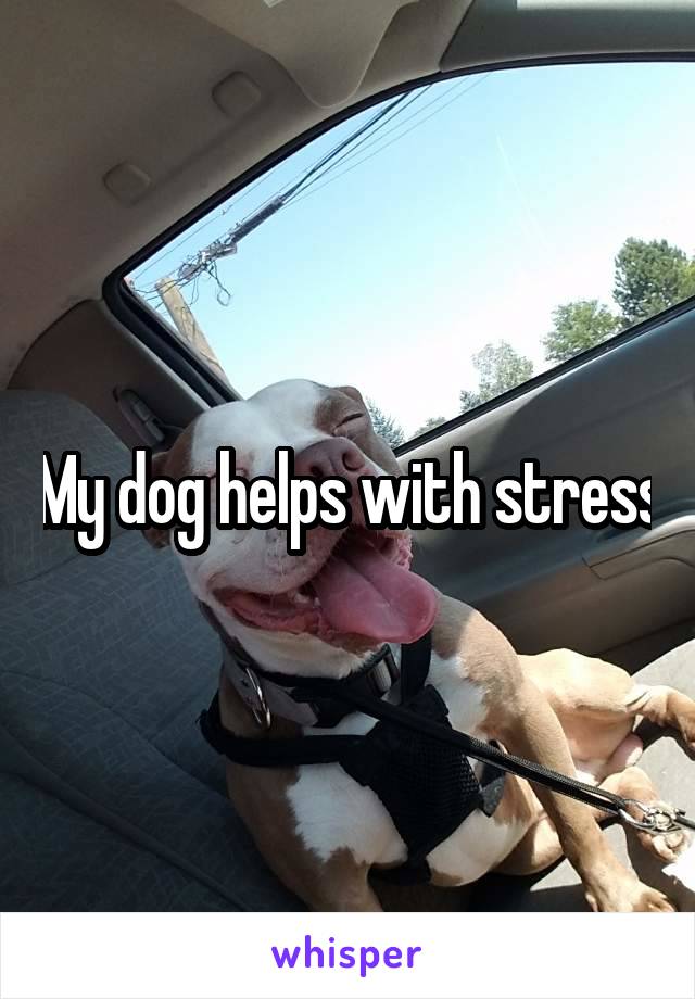 My dog helps with stress