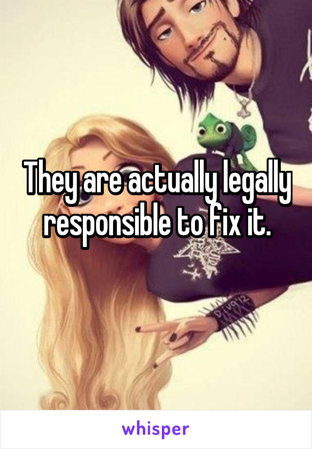 They are actually legally responsible to fix it.
