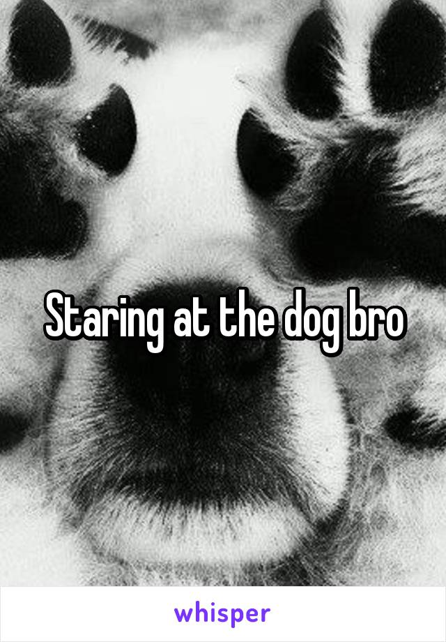 Staring at the dog bro
