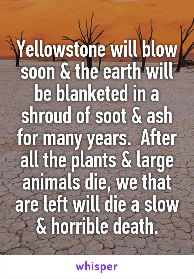Yellowstone will blow soon & the earth will be blanketed in a shroud of soot & ash for many years.  After all the plants & large animals die, we that are left will die a slow & horrible death.