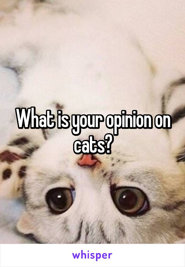 What is your opinion on cats?