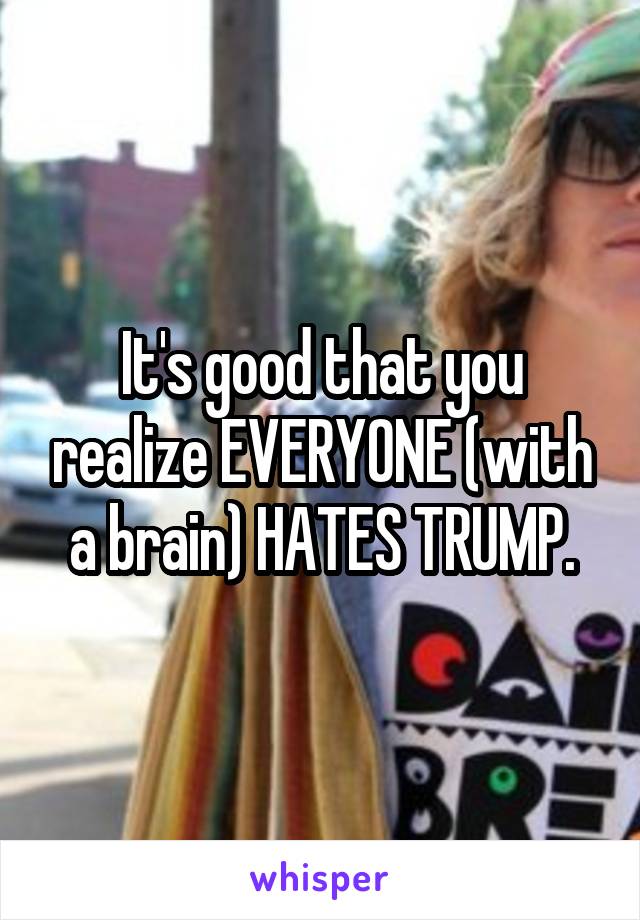 It's good that you realize EVERYONE (with a brain) HATES TRUMP.