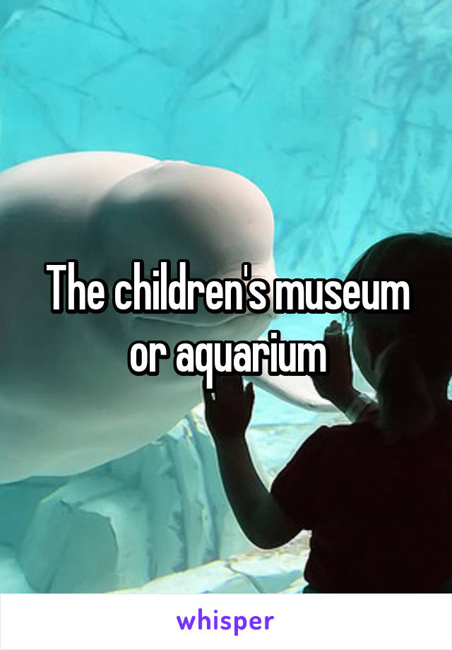 The children's museum or aquarium