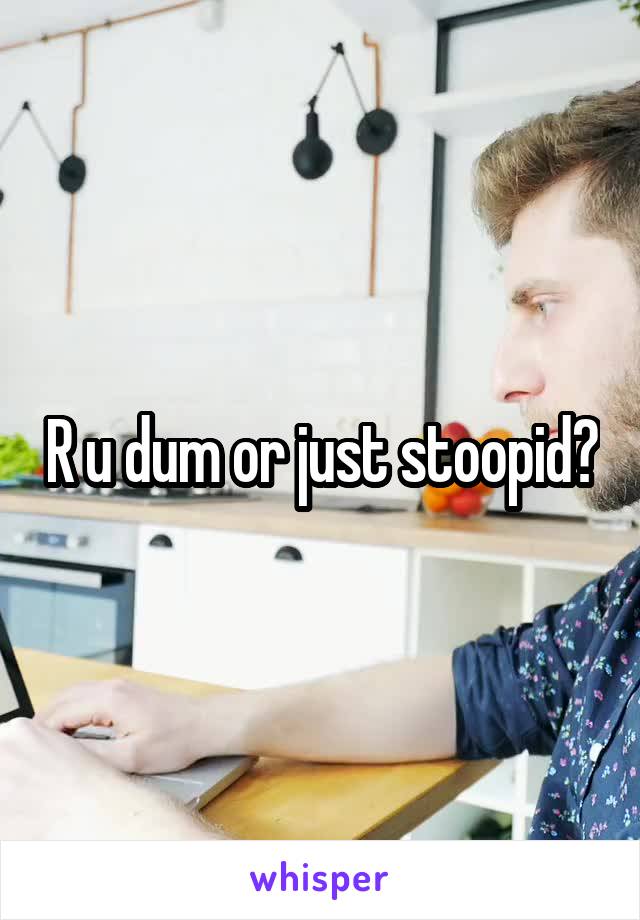 R u dum or just stoopid?