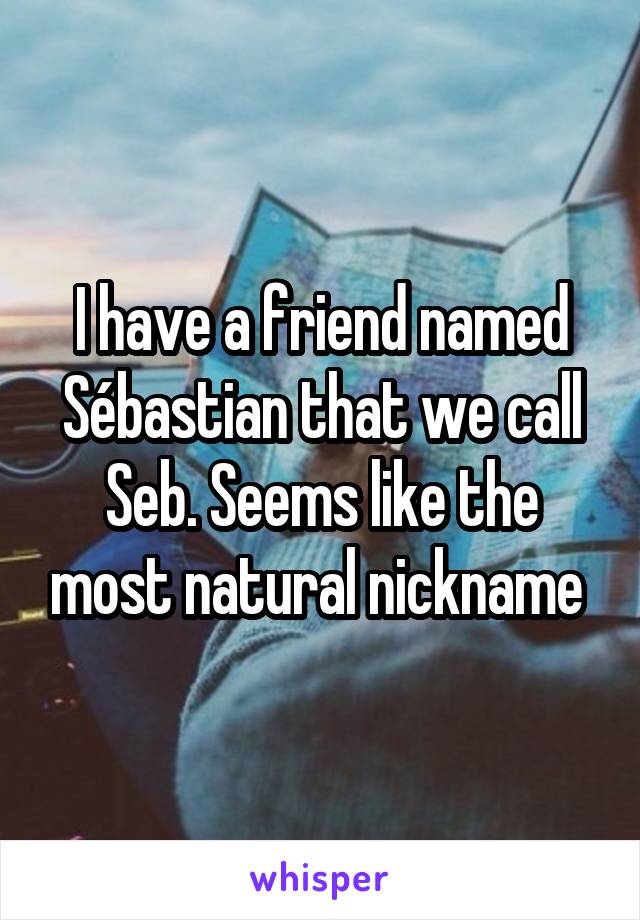 I have a friend named Sébastian that we call Seb. Seems like the most natural nickname 