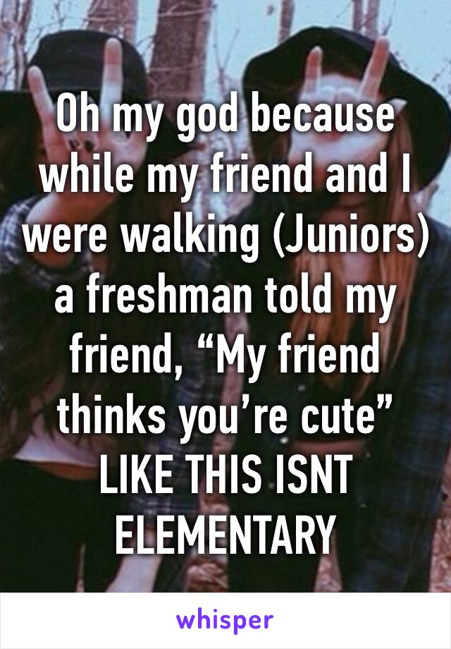 Oh my god because while my friend and I were walking (Juniors) a freshman told my friend, “My friend thinks you’re cute” LIKE THIS ISNT ELEMENTARY 