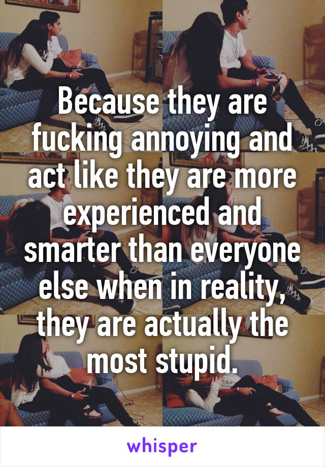 Because they are fucking annoying and act like they are more experienced and smarter than everyone else when in reality, they are actually the most stupid.