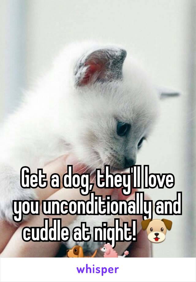 Get a dog, they'll love you unconditionally and cuddle at night! 🐶🐕🐩