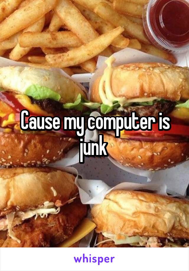 Cause my computer is junk 