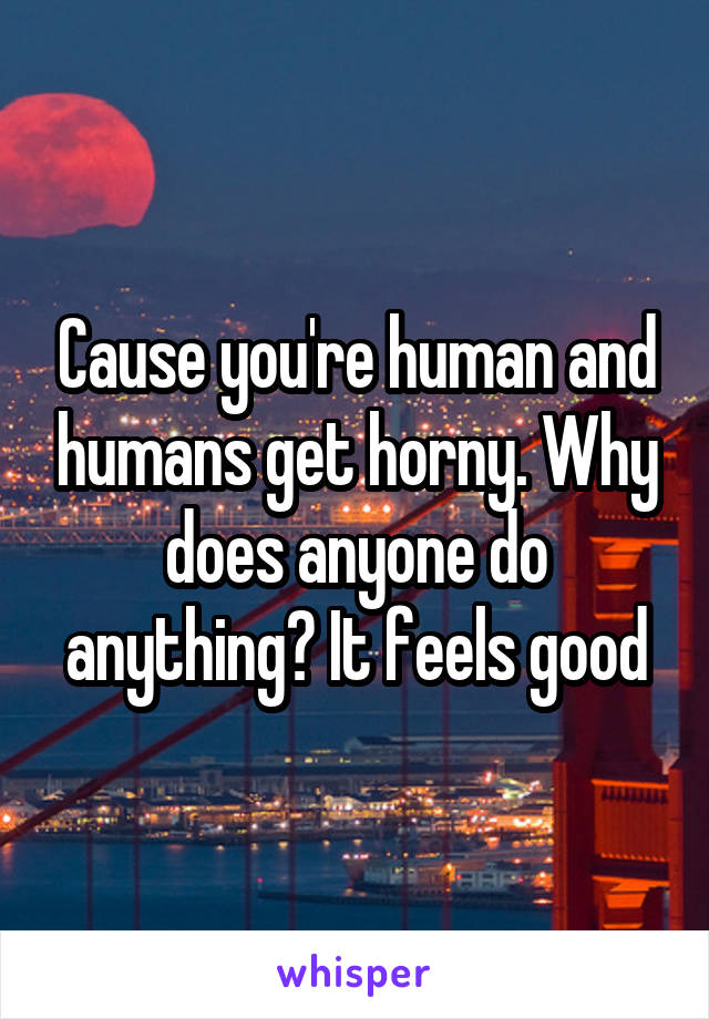 Cause you're human and humans get horny. Why does anyone do anything? It feels good