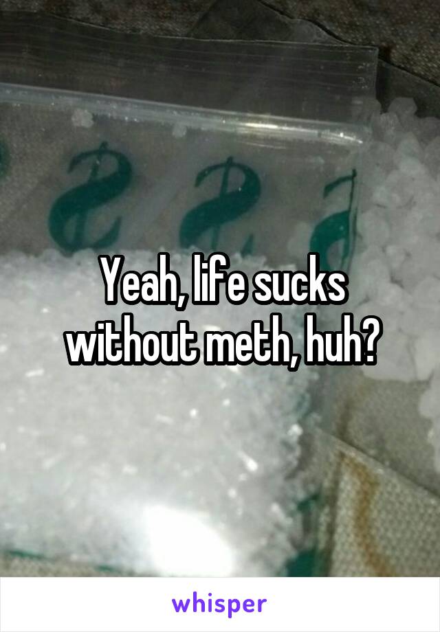 Yeah, life sucks without meth, huh?