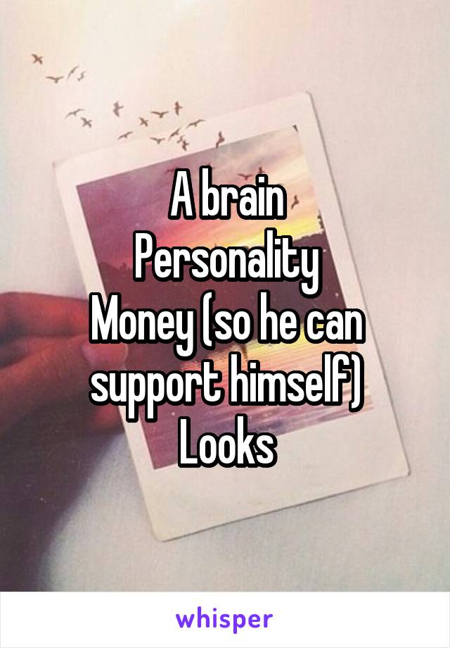 A brain
Personality
Money (so he can support himself)
Looks